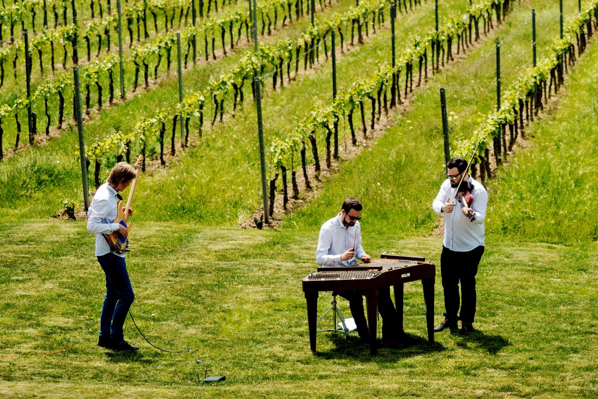 Originální muzika pro každou příležitost!